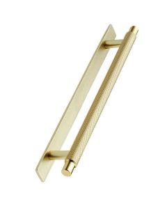 Manor Handle / Backplate - Gold